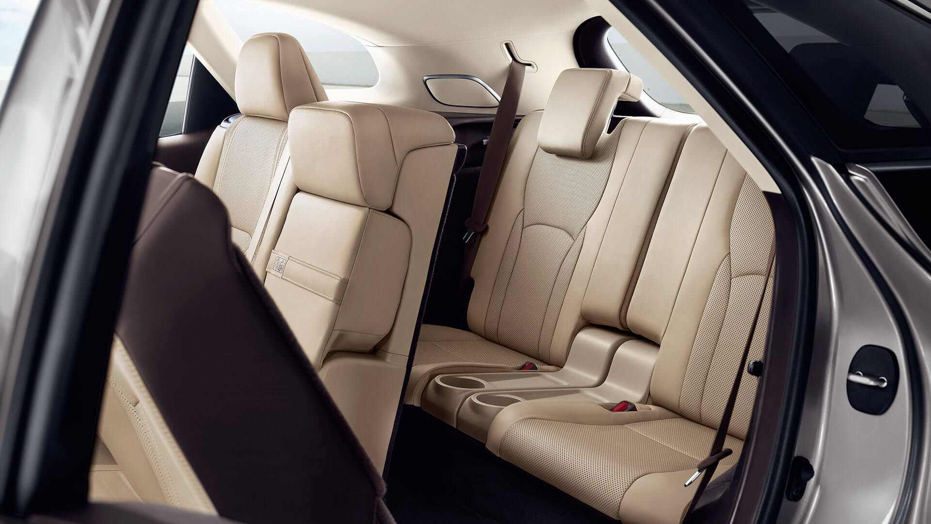rx reveal hero interior