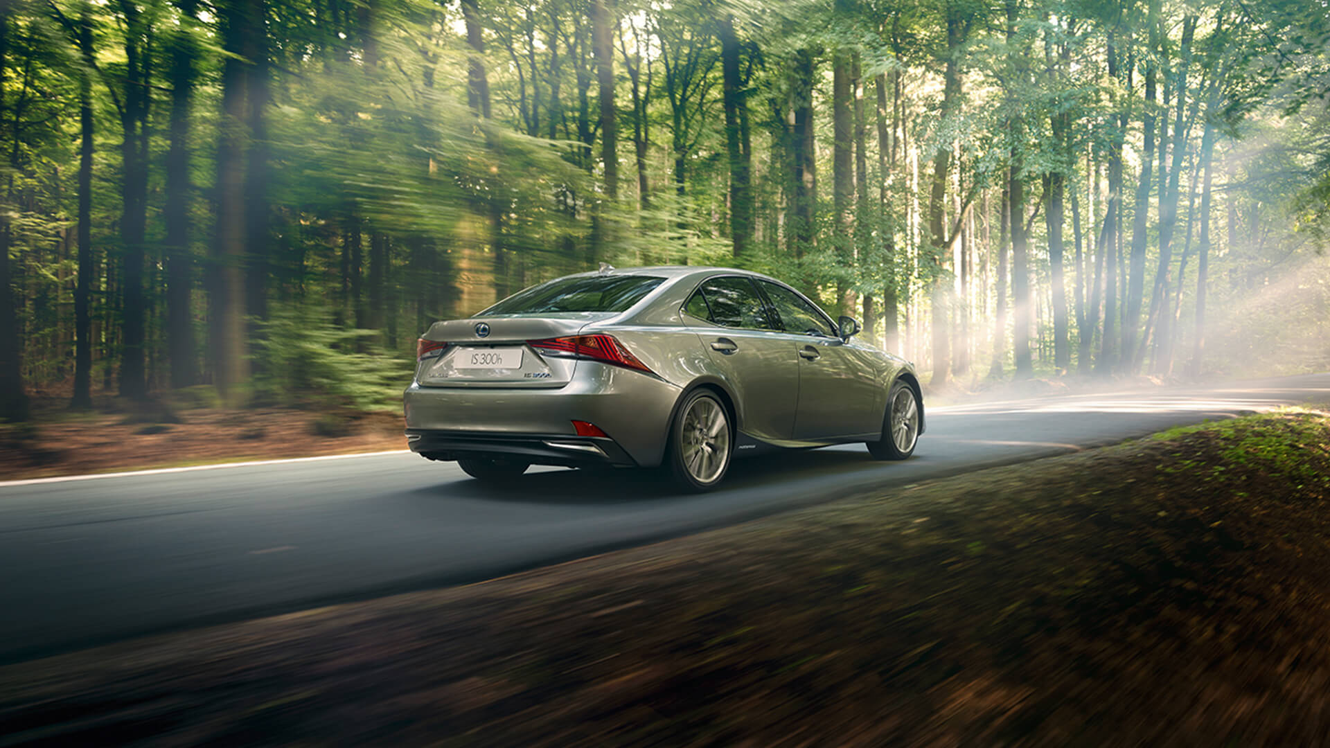 Lexus IS fahrend in Wald