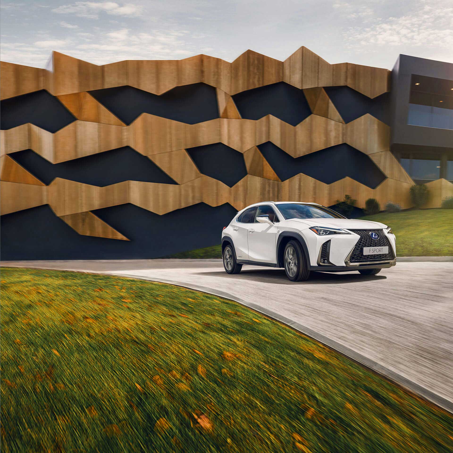 Lexus UX weiß in Landschaft