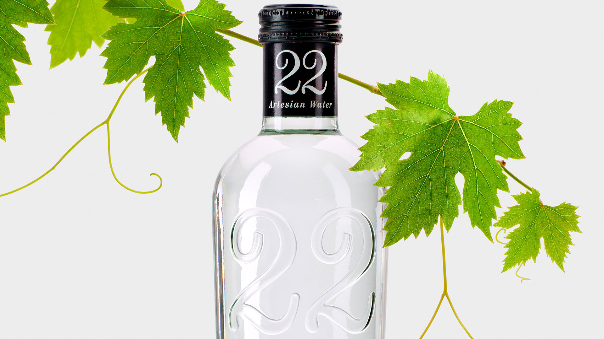 Imagen del agua mineral 22 Artesian Water
