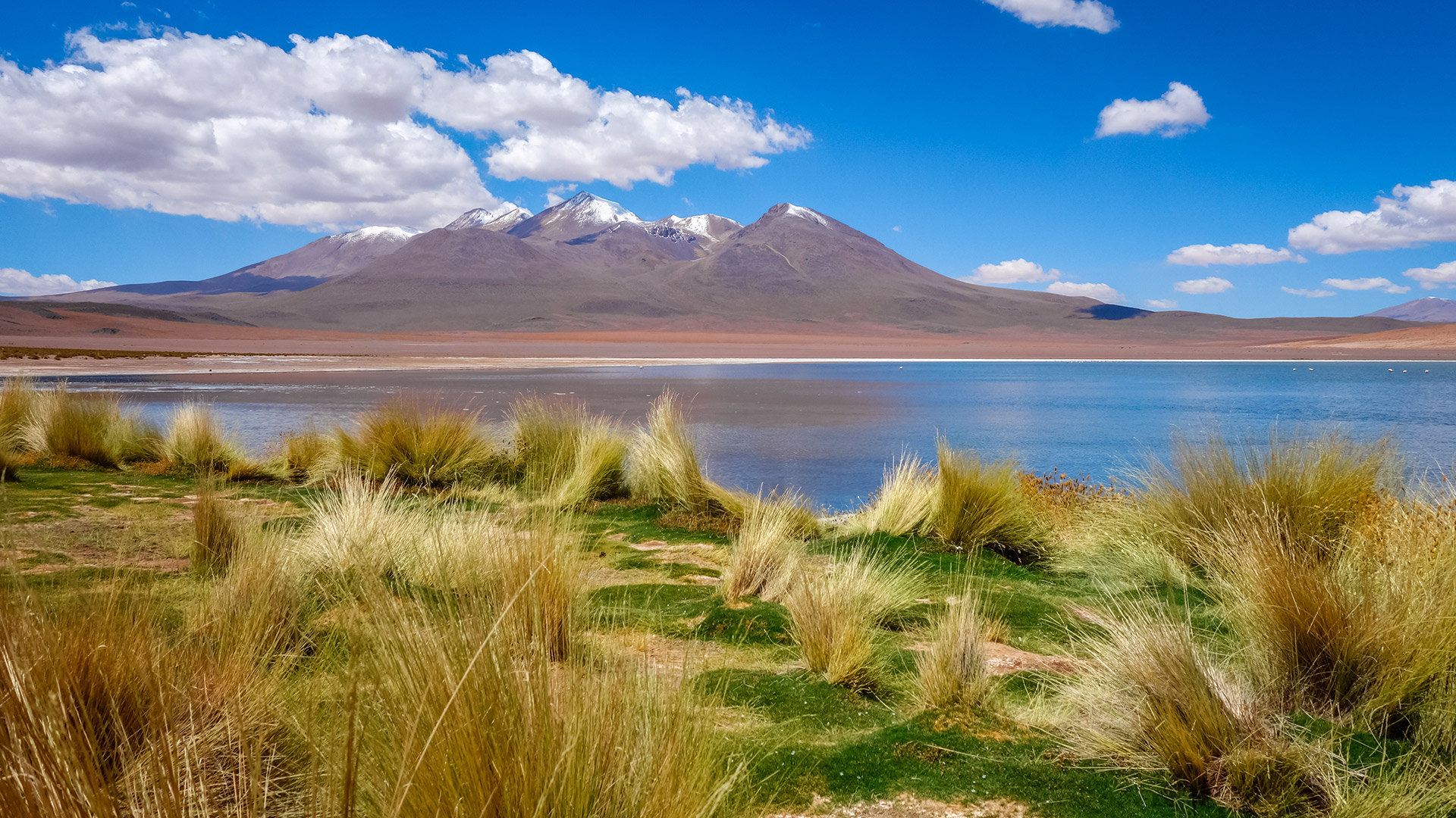 Turismo en Bolivia hero asset