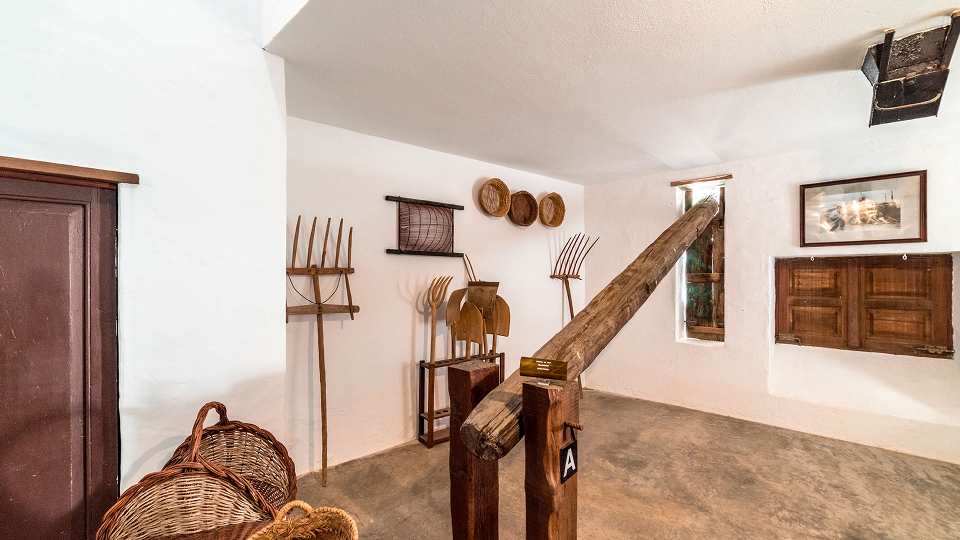 Imagen de la bodega El Grifo