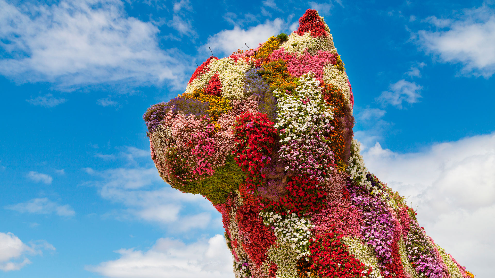 Puppy la mascota del Museo Guggenheim de Bilbao