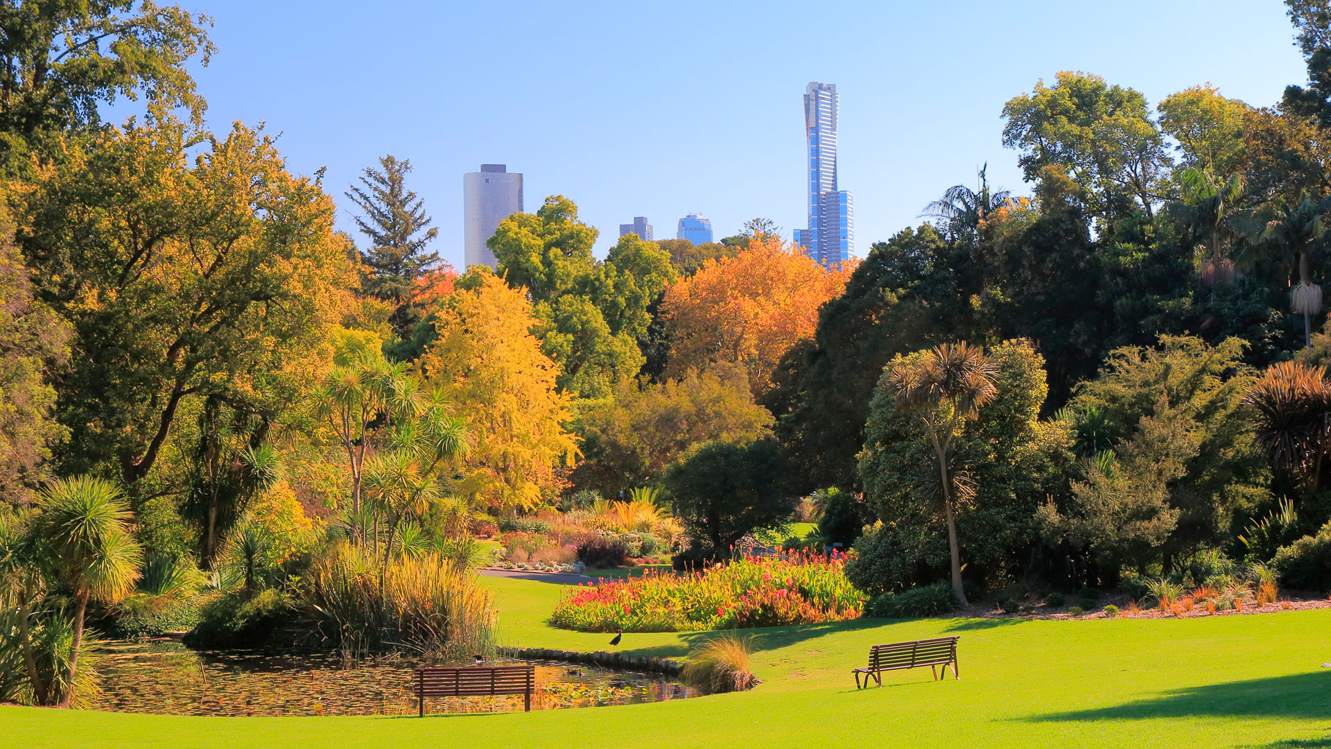 Melbourne la ciudad de las cero emisiones