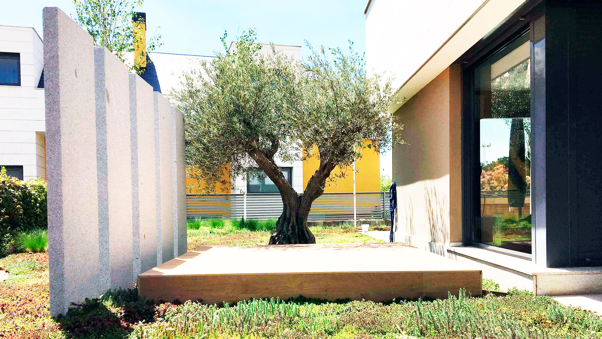 Jardines para combatir el aislamiento hero asset