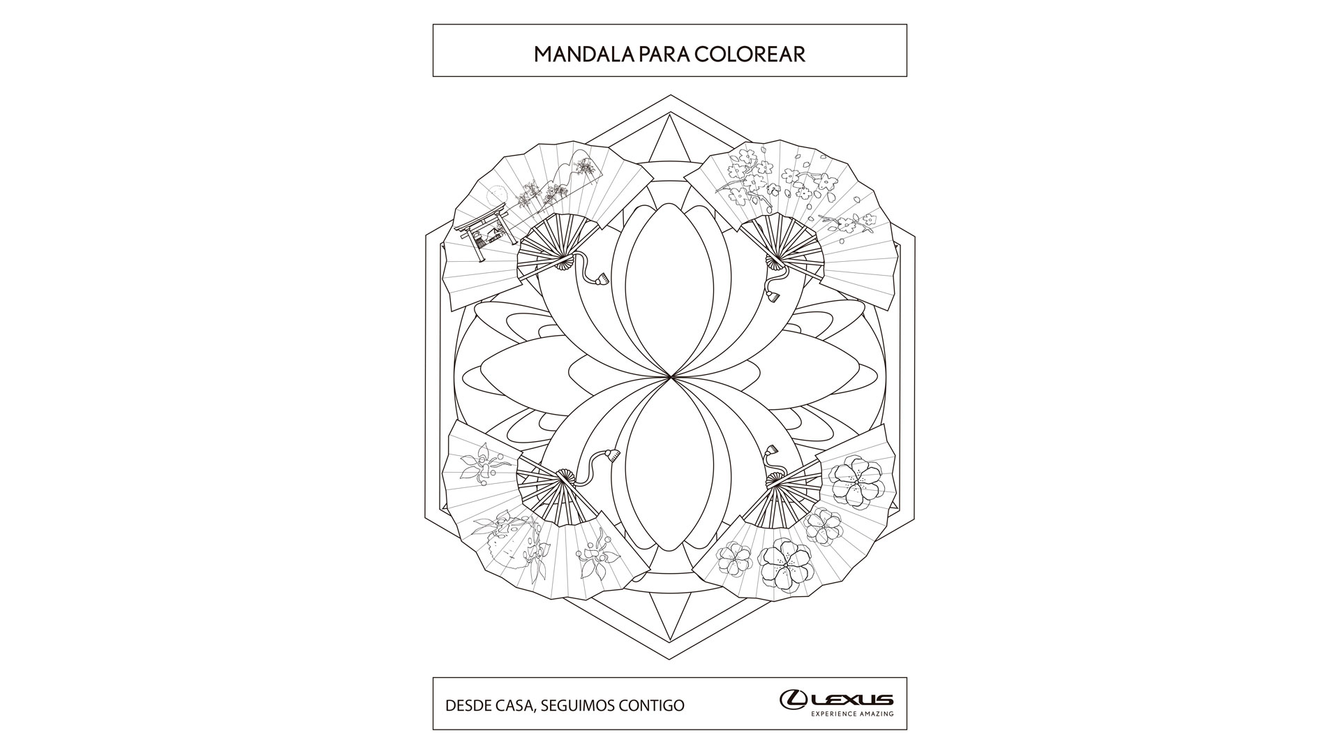 Imagen de un mandala con coches Lexus