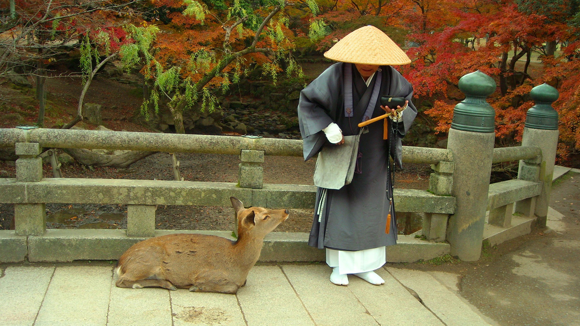 Nara Japón hero asset