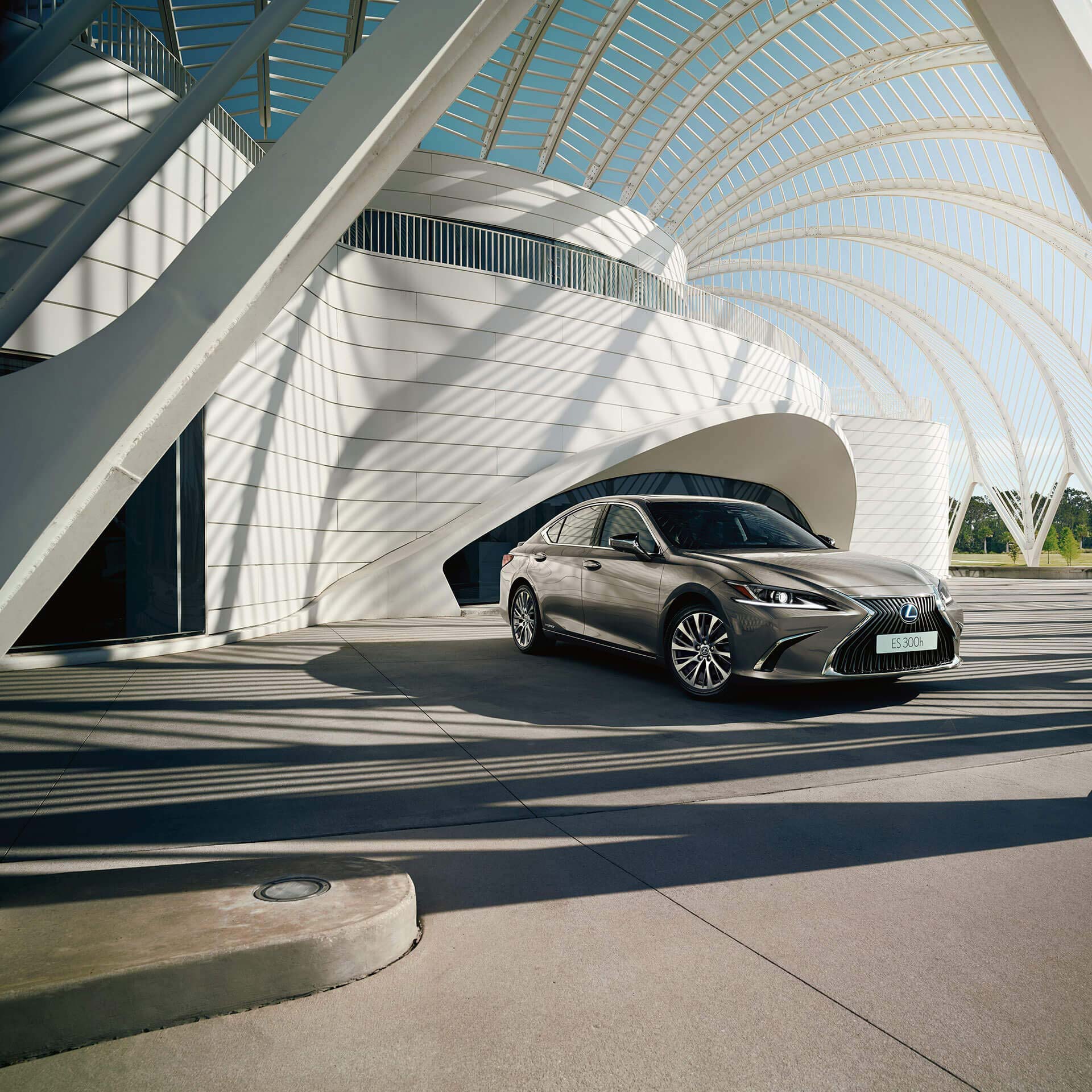 2019 hybrid for business