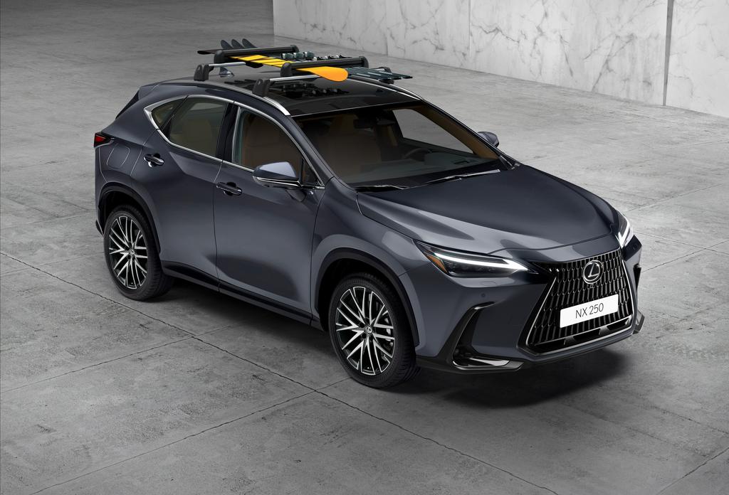 nx22