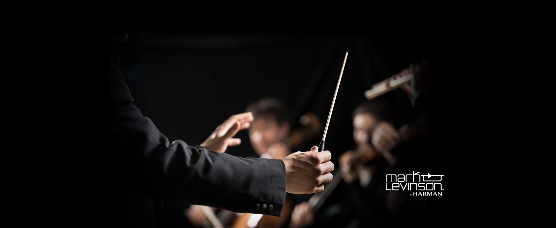 symphony orchestra 1920 Hero image