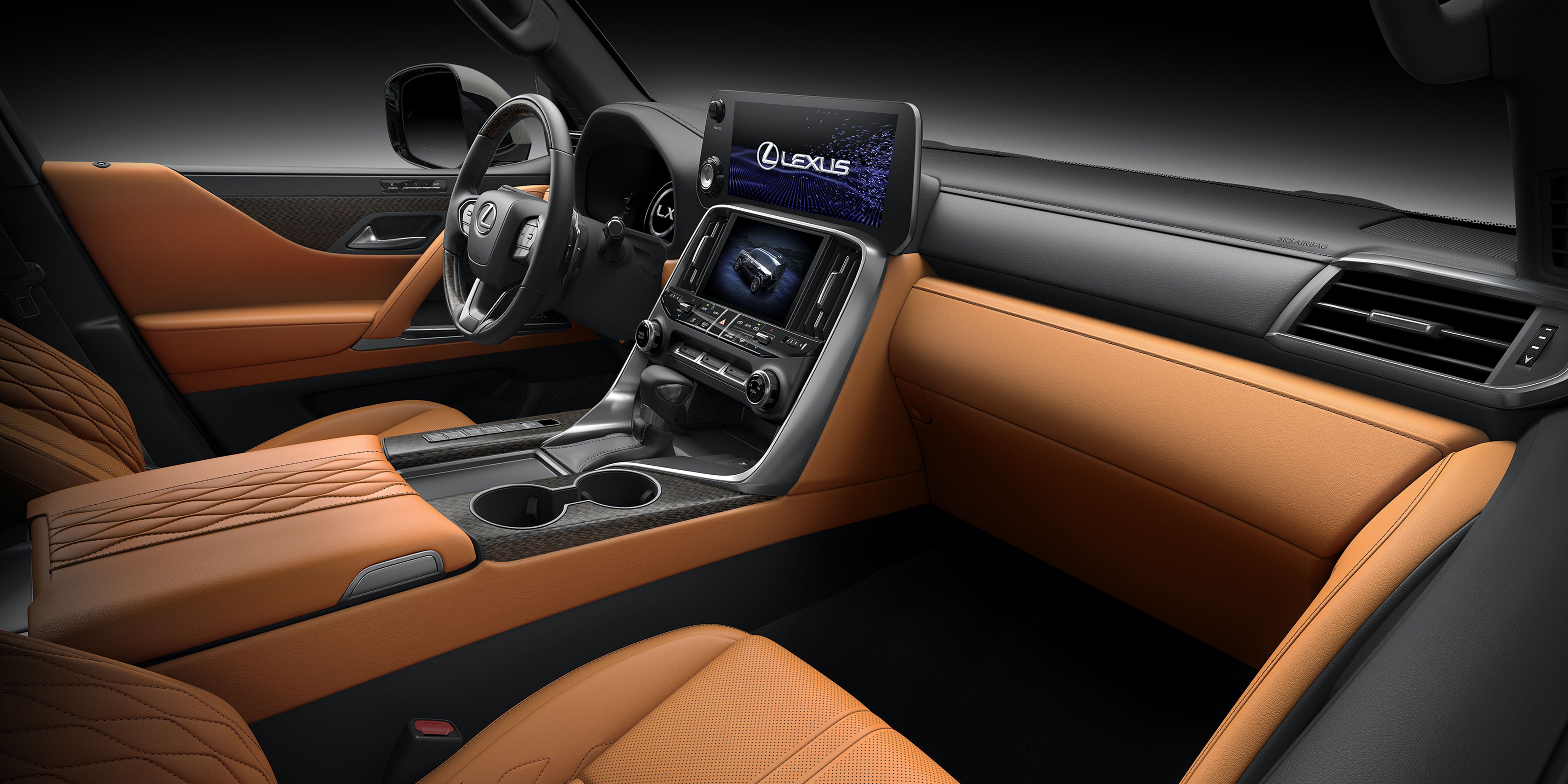 lx image 3
