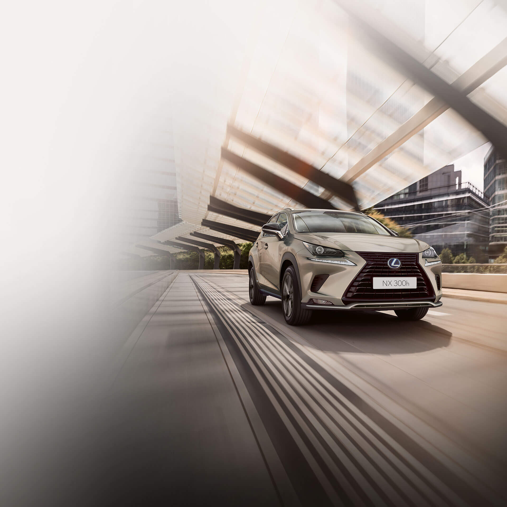 2021 lexus nx black line edition hero