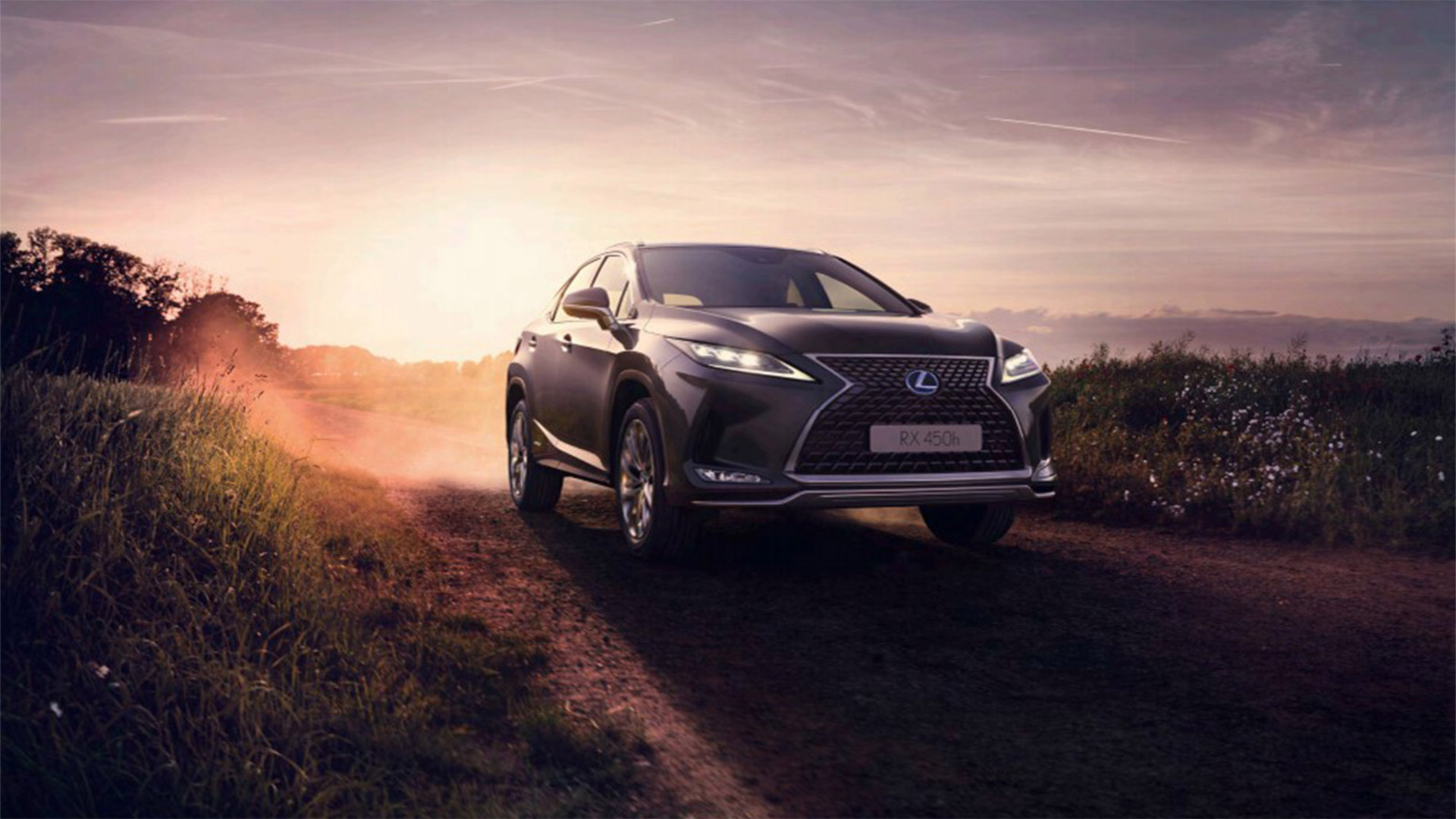 02 2019 020 Lexus RX pionier 1920x1080 galerij
