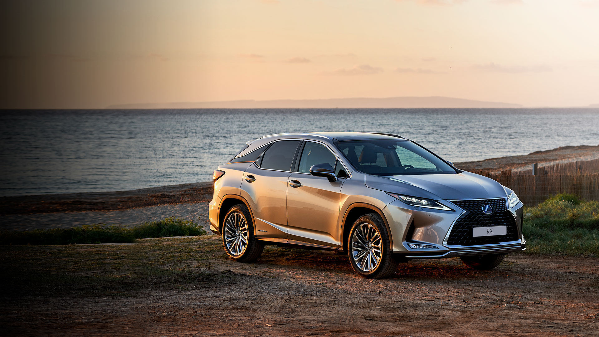 2019 lexus rx hero