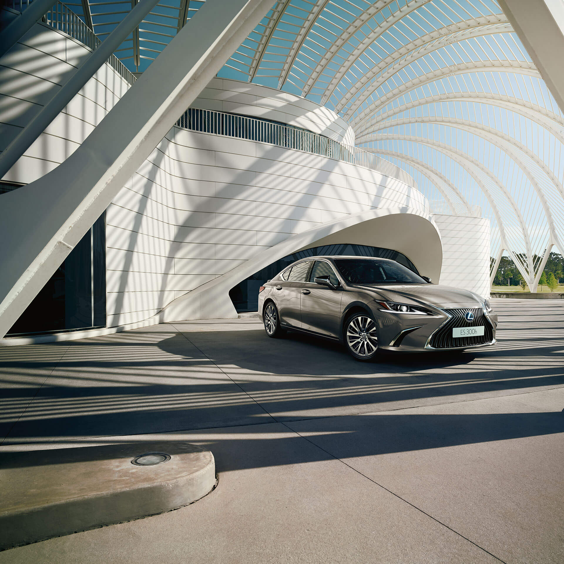 2019 hybrid for business