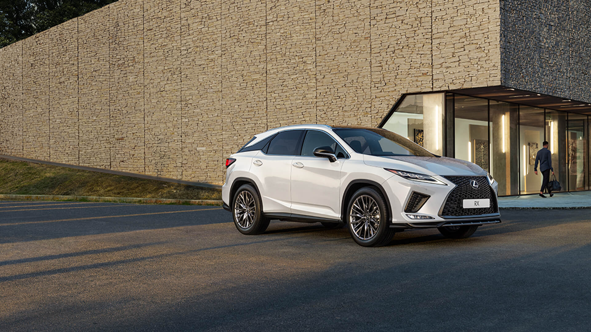 2019 lexus rx hero